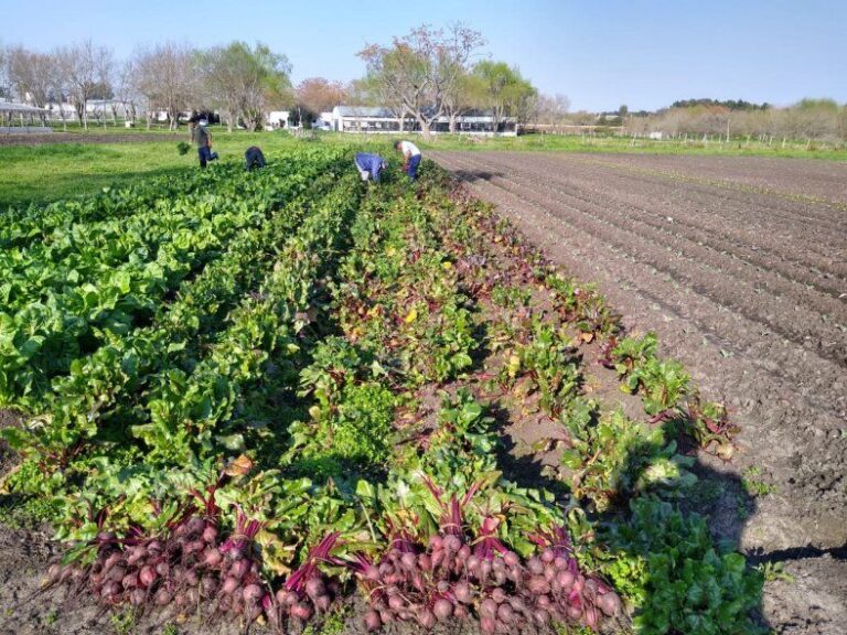 Por la guerra y el cambio climático crece la inseguridad alimentaria en el mundo