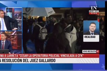 feinmann y viale encolerizados contra jueces que gobiernan por decreto