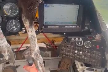 ¡es un pajaro! ¡es un avion!: si, eran ambos colisionando mutuamente