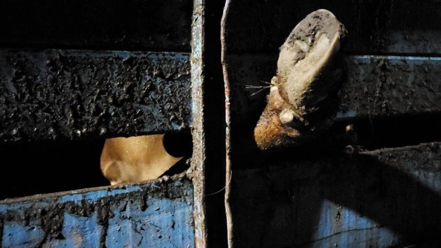 El vuelco ocurrió el martes en entre los puentes de La Horqueta y El Trébol