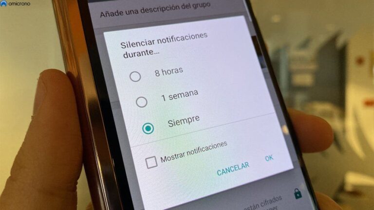 Conocé cómo silenciar grupos de WhatsApp para siempre