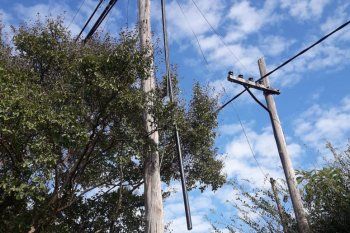 la plata: robaban cables de la via publica