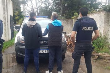 city bell: un perro frustro el robo a una jubilada