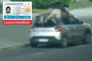 otro irresponsable al volante se queda sin licencia