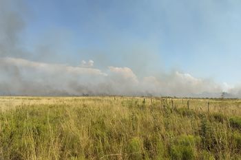 incendios en la provincia de buenos aires