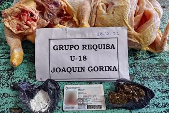 gorina: le llevo drogas a su novio preso adentro de un pollo