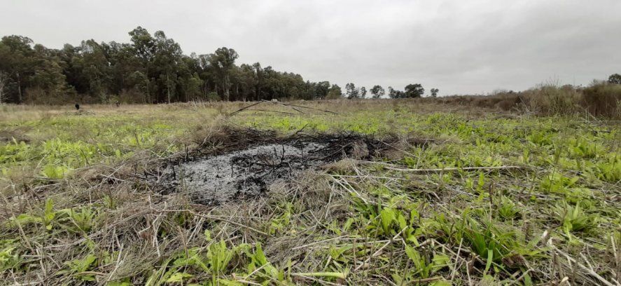 Las usurpaciones en la Provincia crecieron en los últimos meses