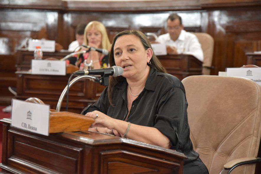 La titular del Concejo de La Plata, Ileana Cid, ya había contraído el virus.
