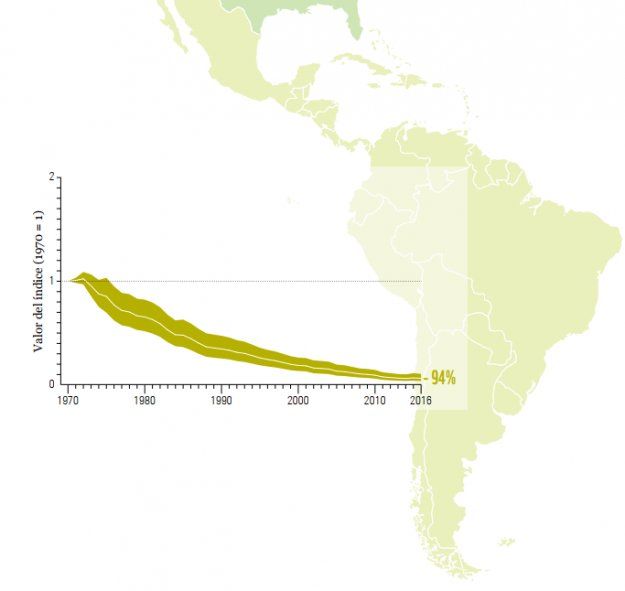En las zonas tropicales de América Latina, la pérdida escala al 94% según el informe de biodiversidad de WWF(Foto: Fundación Vida Silvestre)