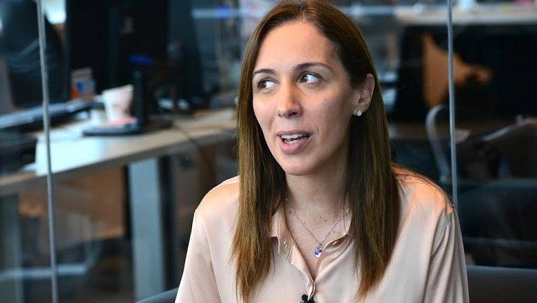 Vidal dijo que “buscará trabajo” después de dejar el gobierno, pero ¿a qué se dedicó antes de la política?