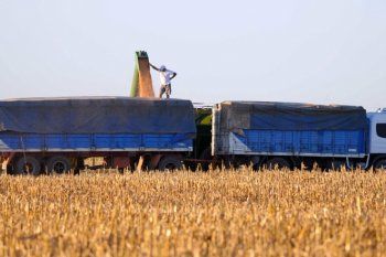 Transportistas de granos nucleados en FETRA anunciaron un paro nacional