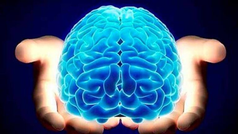 Día Mundial del Cerebro: recomendaciones para cuidar la salud cerebral