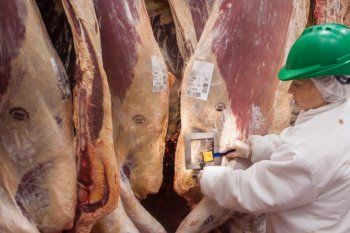 “No hay plata”: Se desplomó 18,5 % el consumo de carne vacuna en marzo