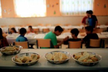 aseguran que casi el 50% de los ninos entre 6 y 10 anos sufre malnutricion en la provincia