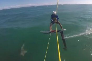 ¿lo cubrira el seguro?: estaba practicando kitesurf y se choco con un tiburon ¿lo cubrira el seguro?: estaba practicando kitesurf y se choco con un tiburon