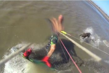 mira el video: fue atacado por un pitbull mientras practicaba kitesurf mira el video: fue atacado por un pitbull mientras practicaba kitesurf
