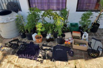 detuvieron a una cultivadora de marihuana para uso medicinal y hay polemica
