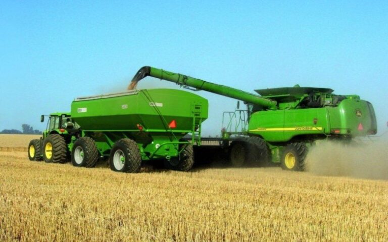 Trigo: por la sequía, las pérdidas de rindes en el sudoeste bonaerense serían del 40 por ciento