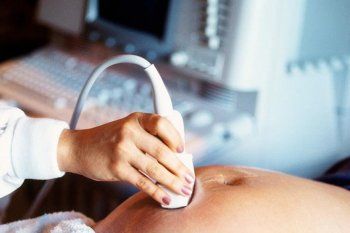 increible, pero real: en las redes circulan recetas de comidas caseras para preparar con placenta