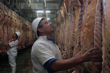 efecto china: buenos aires suma tres nuevos frigorificos para exportar carne al gigante asiatico