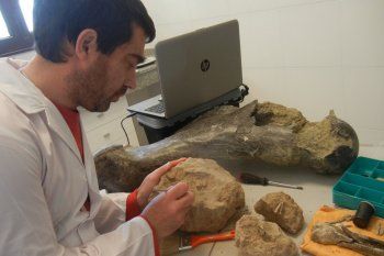 encuentran restos de reptiles, gliptodontes, perezosos y mas animales prehistoricos en miramar