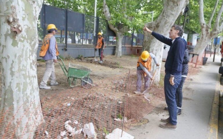 Katopodis consiguió una cautelar de la Suprema Corte que frenaría el pago de una deuda a EDENOR
