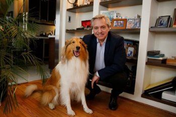 ?¡feliz cumpleanos mi amado amigo dylan!?: el emotivo saludo de alberto fernandez para su perro