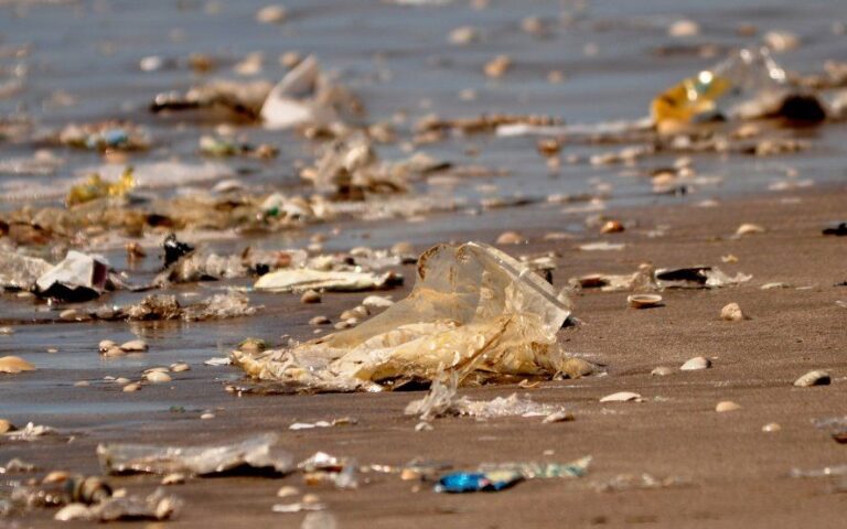 Basura Costera: el 80% de los residuos encontrados en las playas bonaerenses son plásticos
