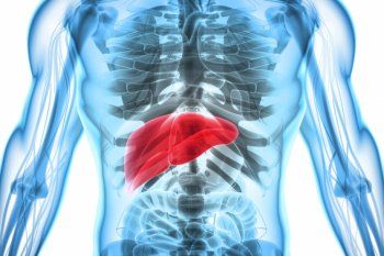 dia mundial contra la hepatitis: 7 cosas que no sabias de la enfermedad