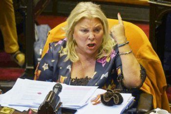 rechazo de carrio al proyecto del impuesto a las grandes fortunas: ?es un robo?