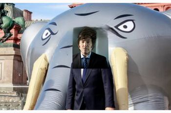 javier milei y el consentimiento de los elefantes para tener sexo