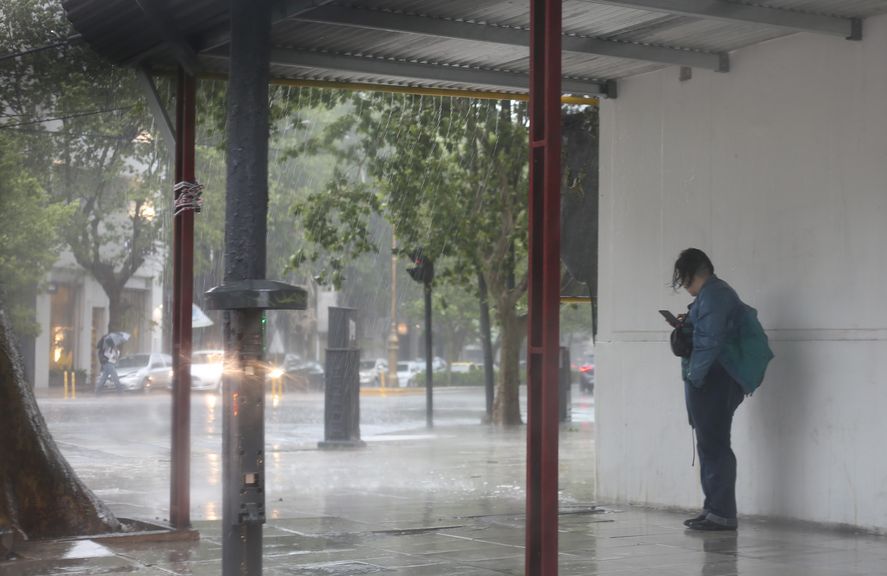 Los daños de la tormenta en La Plata