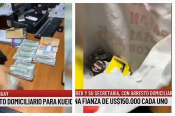 Pomada para zapatos: El detalle que incrimina a Edgardo Kueider según experto