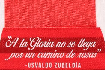 escuela de leones: estudiantes y under armour terminaron con el misterio