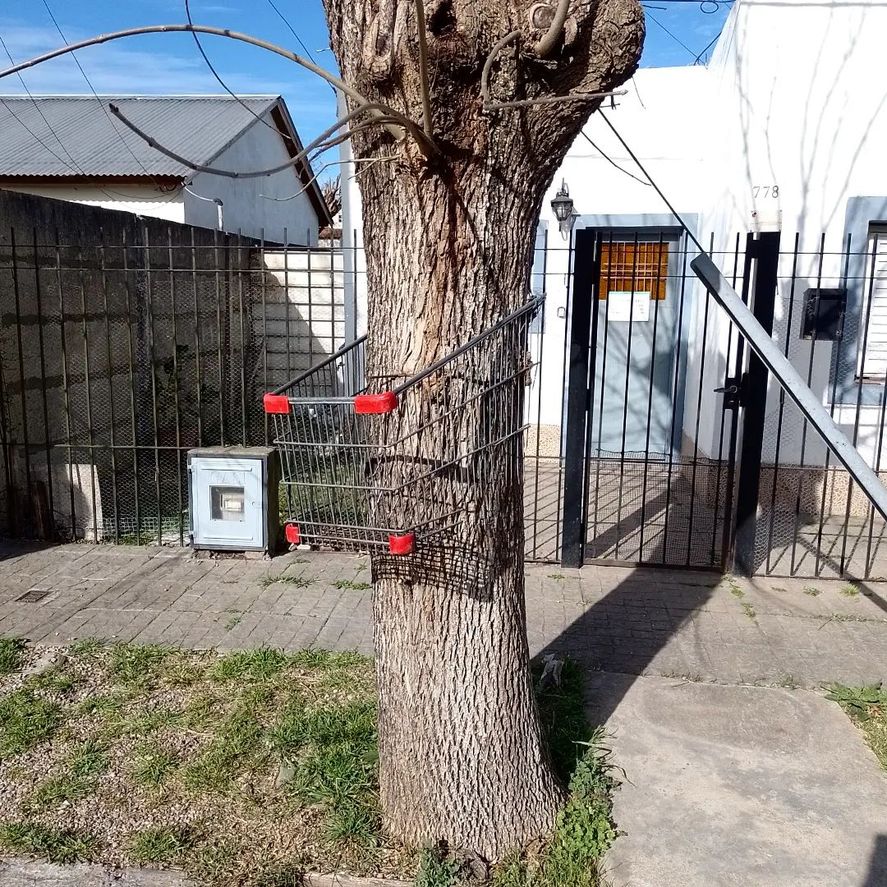 Una arquitecta platense está detrás de una cuenta de Instagram que comparte imágenes de tachos de basura particulares y muy graciosos. Mirá las fotos.