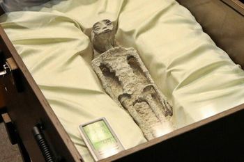 presentaron en mexico cadaveres de extraterrestres encontrados en peru