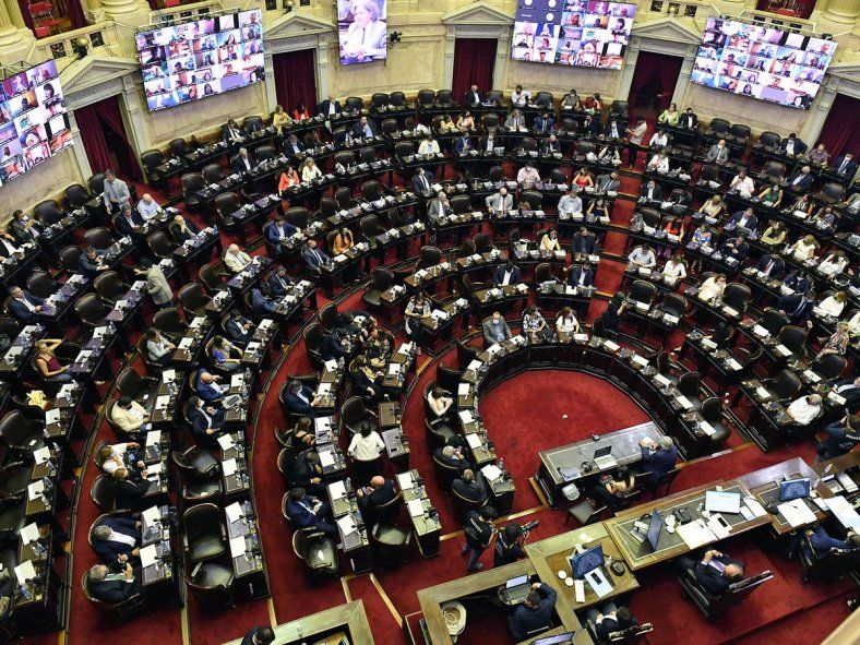 Diputados también le dio media sanción al Plan de los 1000 días