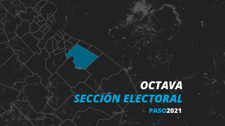 Elecciones PASO 2021: En la Octava sección ganó Juntos