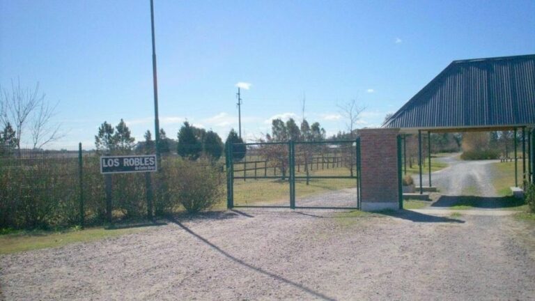Asalto en un country: roban en el lote de una ex diputada