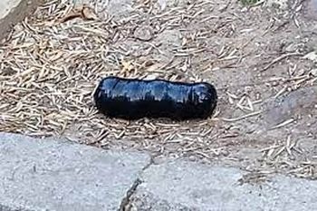 El paquete hallado frente a la casa del juez Gorini