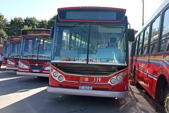 inseguridad en colectivos: un chofer y una pasajera resultaron heridos en dos asaltos