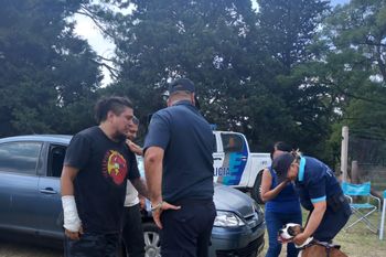 el video del reencuentro entre un perro y su dueno, tras un accidente vial que los separo el video del reencuentro entre un perro y su dueno, tras un accidente vial que los separo