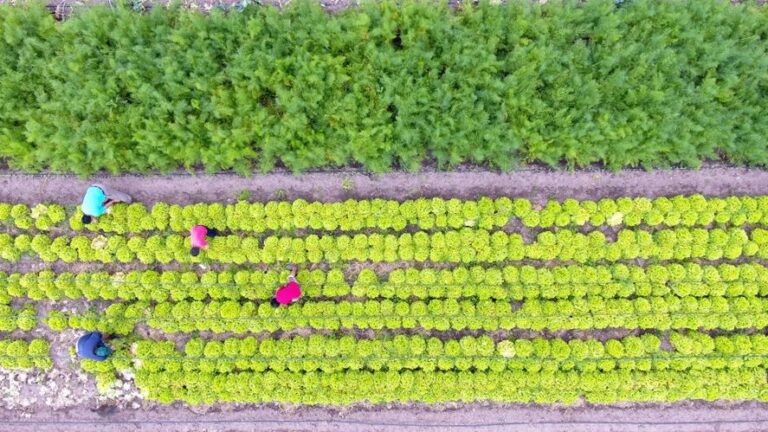 Impulsan los agroalimentos en la Provincia de Buenos Aires