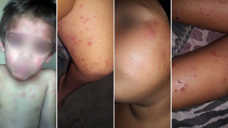 Ministro Javier Rodríguez: 