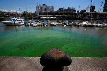 Agua verde en el Delta: qué dijo el Gobierno
