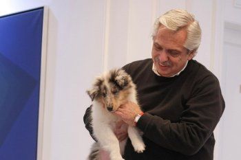 El Instagram de Dylan se llenó de comentarios de defensores de animales