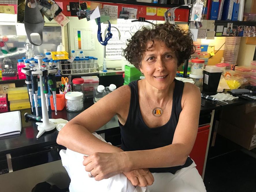 Andrea Gamarnik, otra prestigiosa científica que cuestionó a Milei.