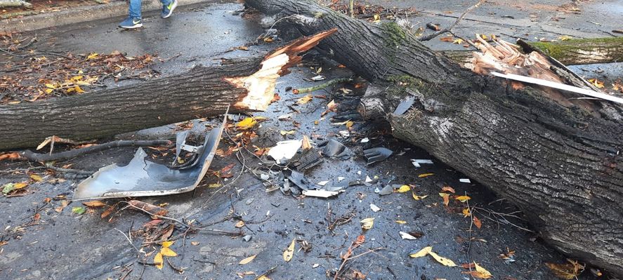 Imágenes del temporal en La Plata