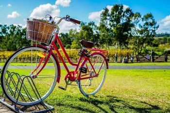 Cada 3 de junio se conmemora el Día de la Bicicleta