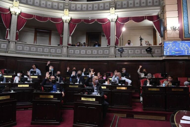 “Lamentable, misógino y vergonzoso”: El duro comunicado de los senadores del Frente de Todos contra Cristian Ritondo